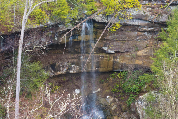 Listing Image 65
