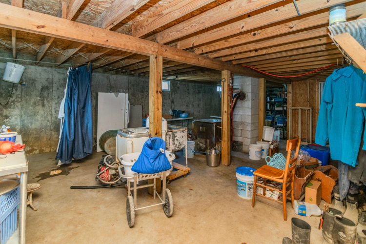 Listing Image 46
