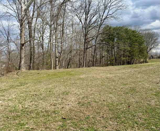 Listing Image 56