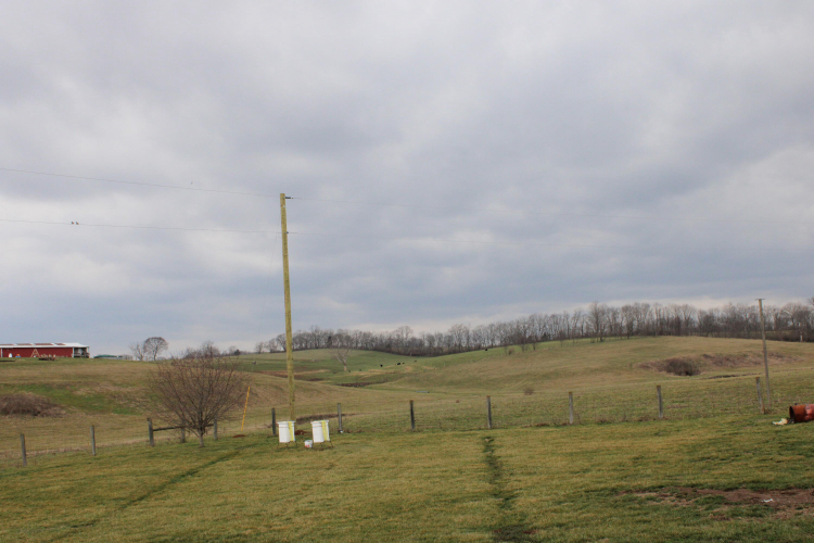 Listing Image 22