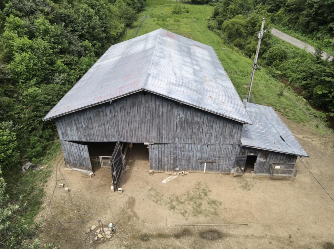 Listing Image 15