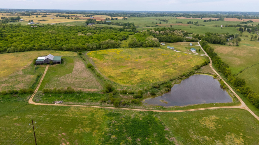 Listing Image 16