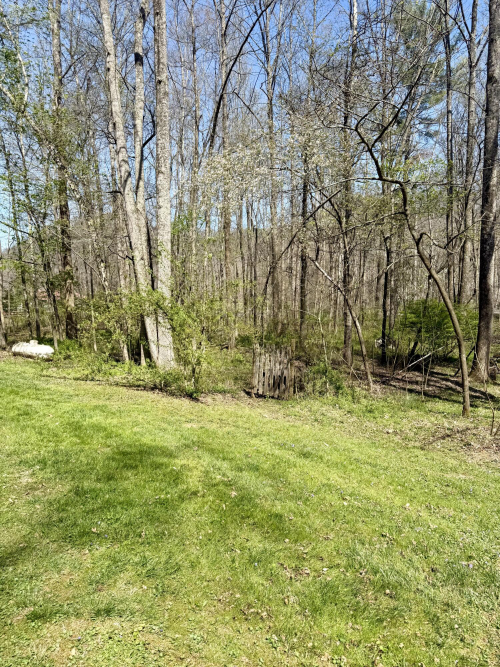 Listing Image 29