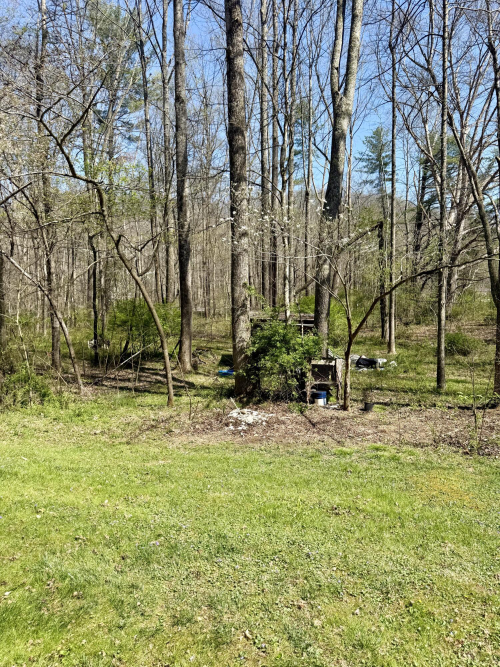 Listing Image 30