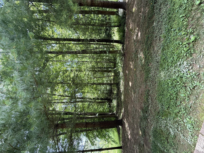 Listing Image 36