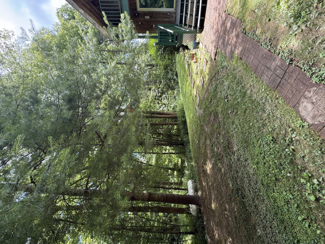Listing Image 37