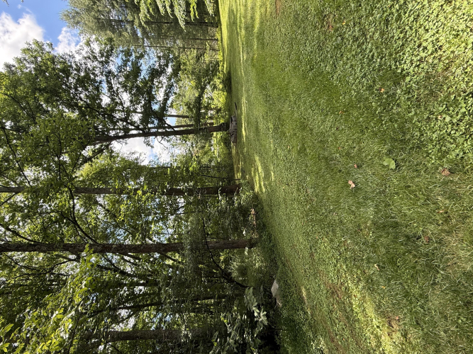 Listing Image 38
