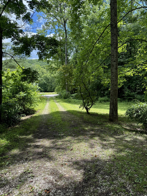 Listing Image 50