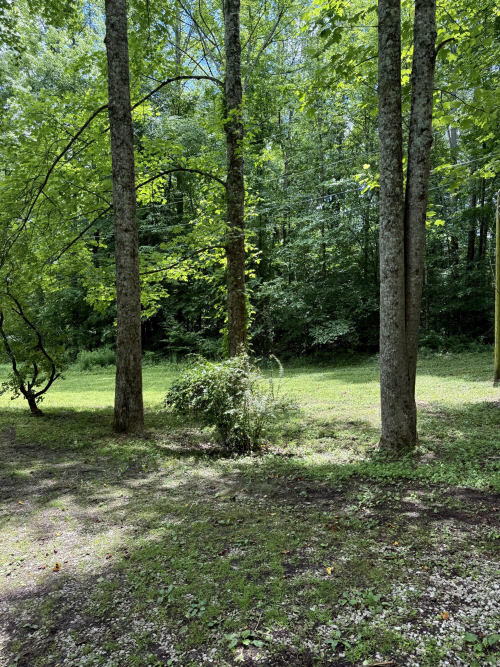 Listing Image 51