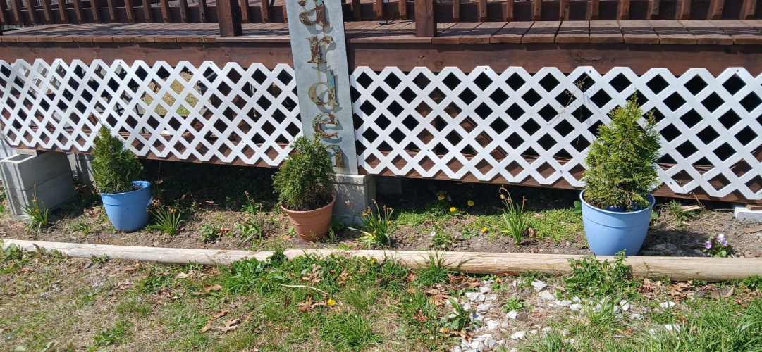 Listing Image 22