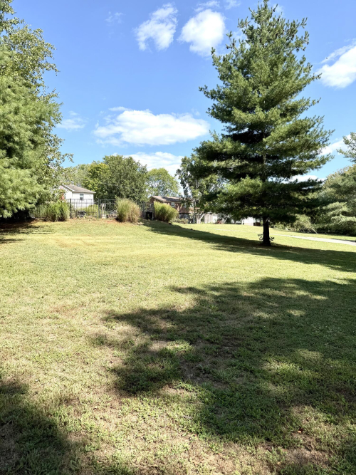 Listing Image 35