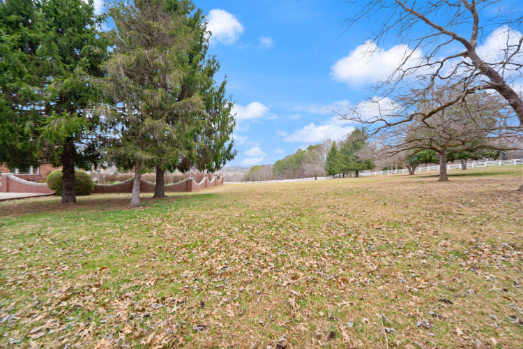 Listing Image 196
