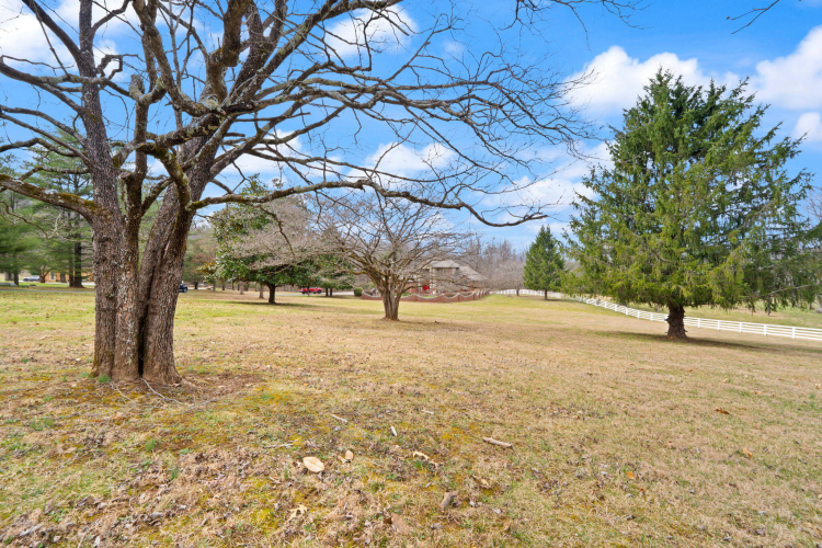 Listing Image 197