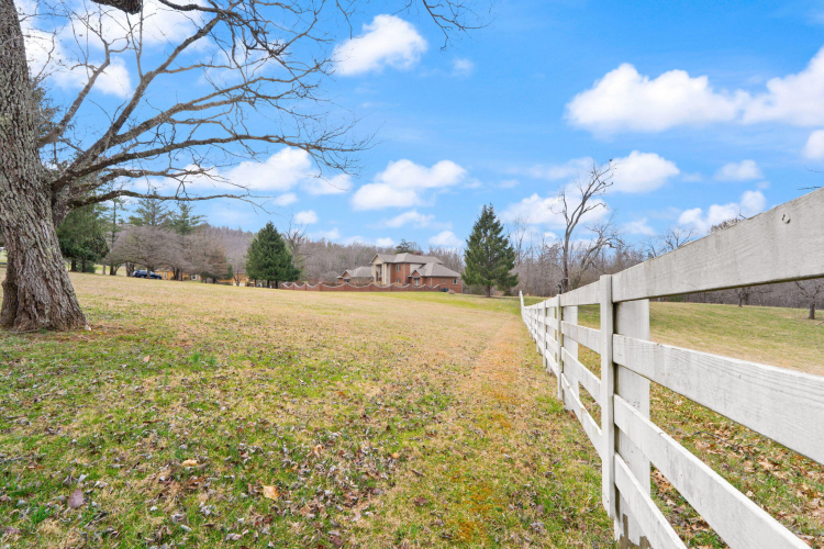 Listing Image 199
