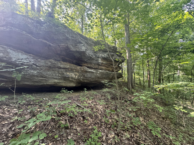 Listing Image 4