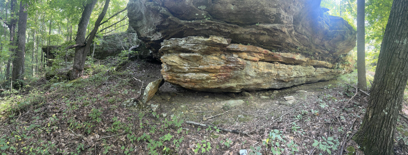 Listing Image 9