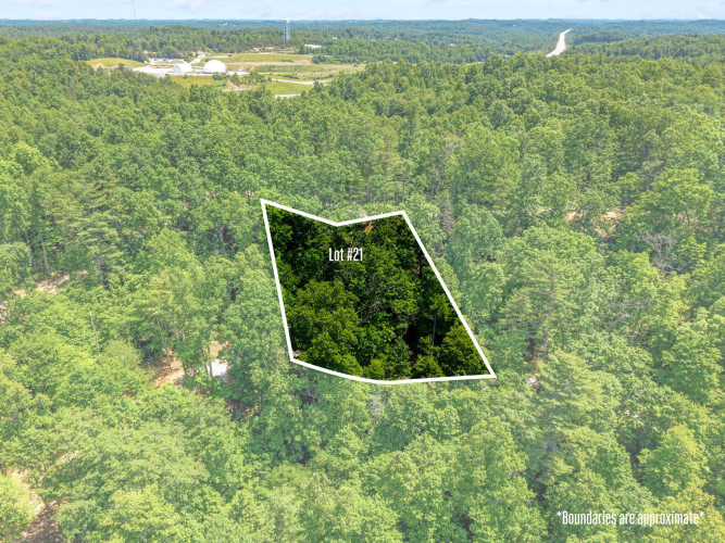 Listing Image 3