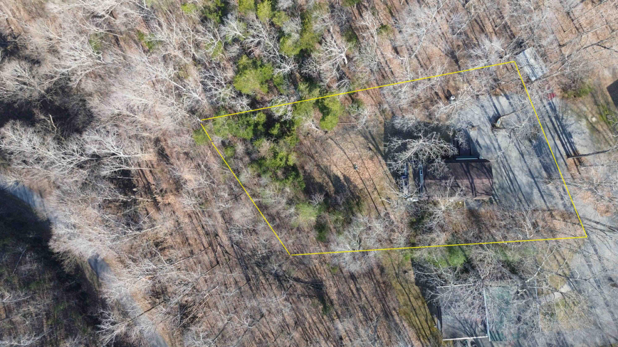 Listing Image 55