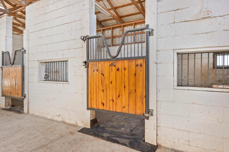 Listing Image 37