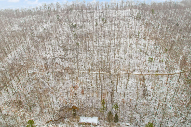 Listing Image 17