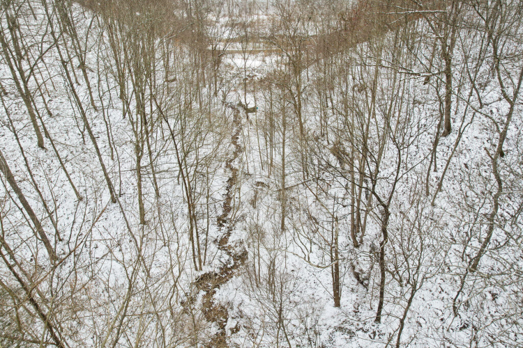 Listing Image 26