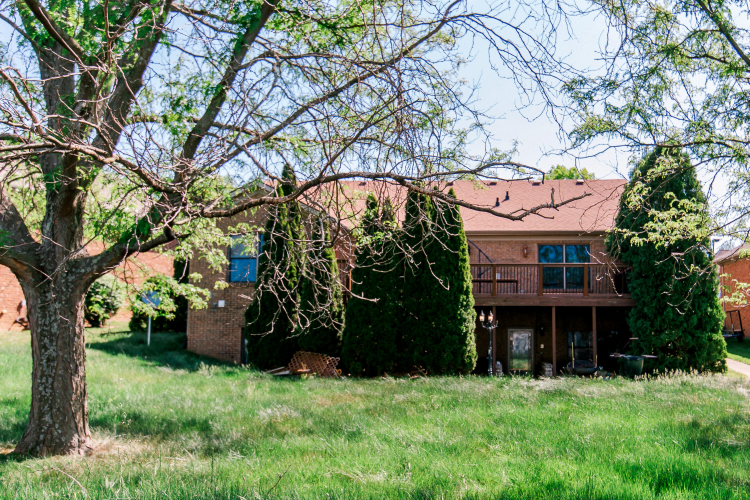 Listing Image 31