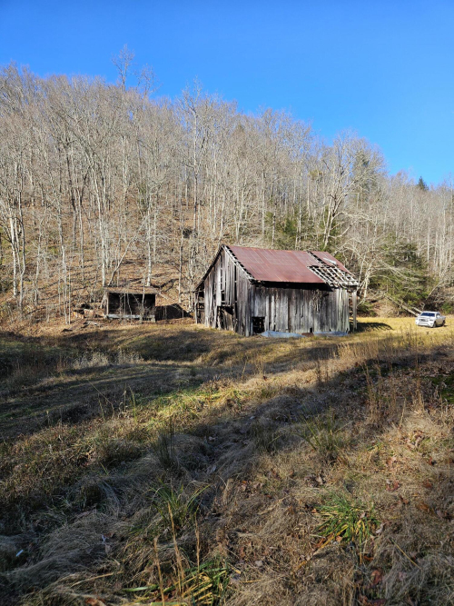Listing Image 7