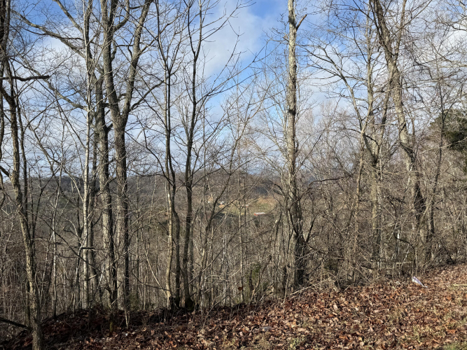 Listing Image 8