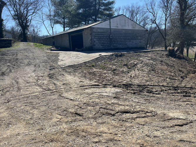Listing Image 51