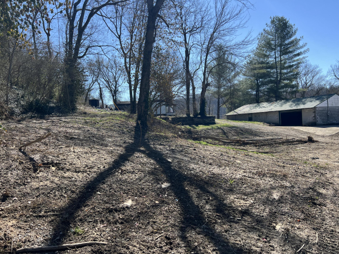 Listing Image 53