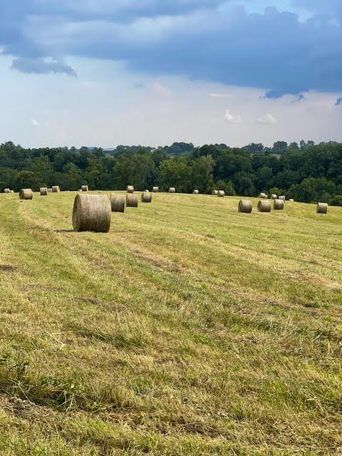 Listing Image 24