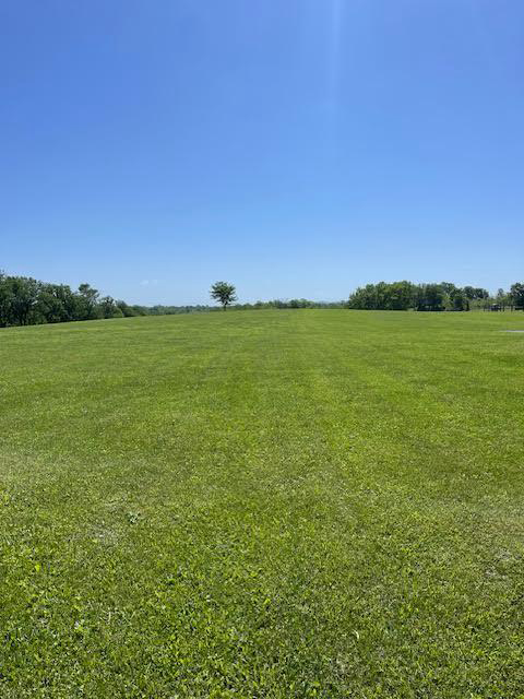 Listing Image 30