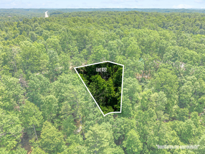 Listing Image 3