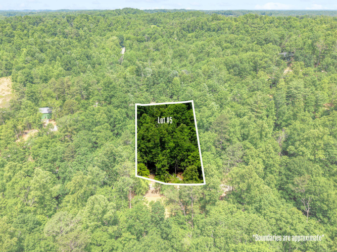 Listing Image 4