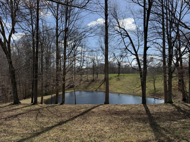 Listing Image 40