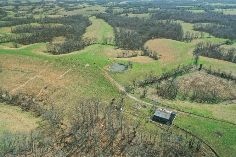 Listing Image 12
