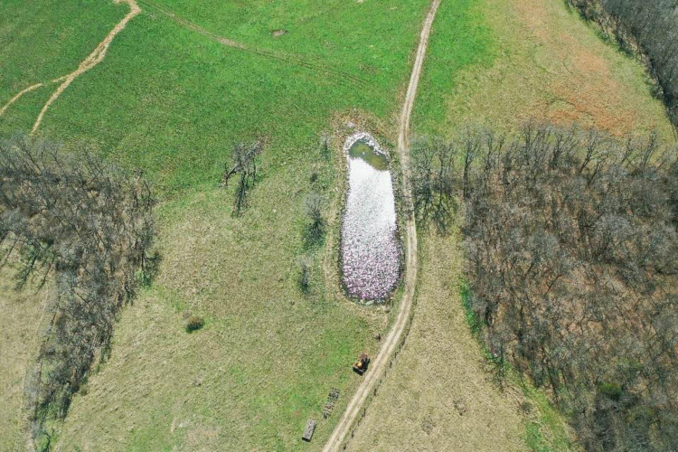 Listing Image 14