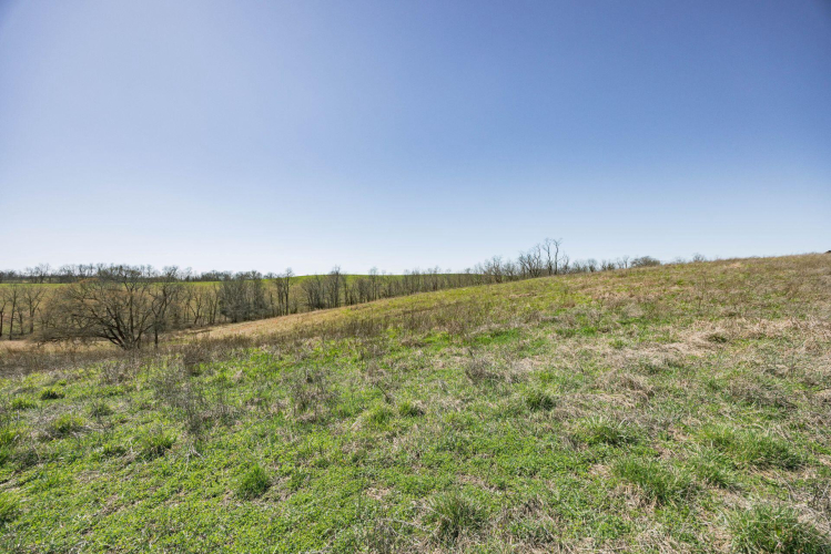 Listing Image 27