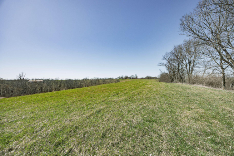 Listing Image 29