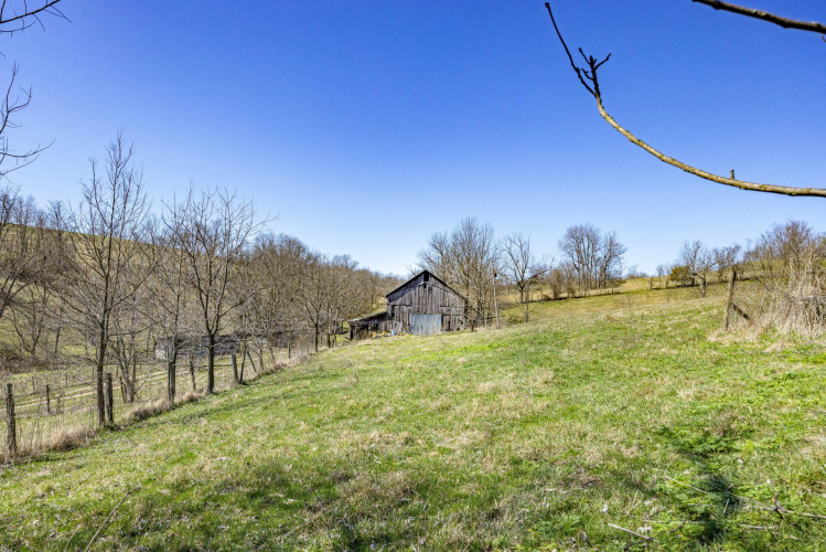 Listing Image 31