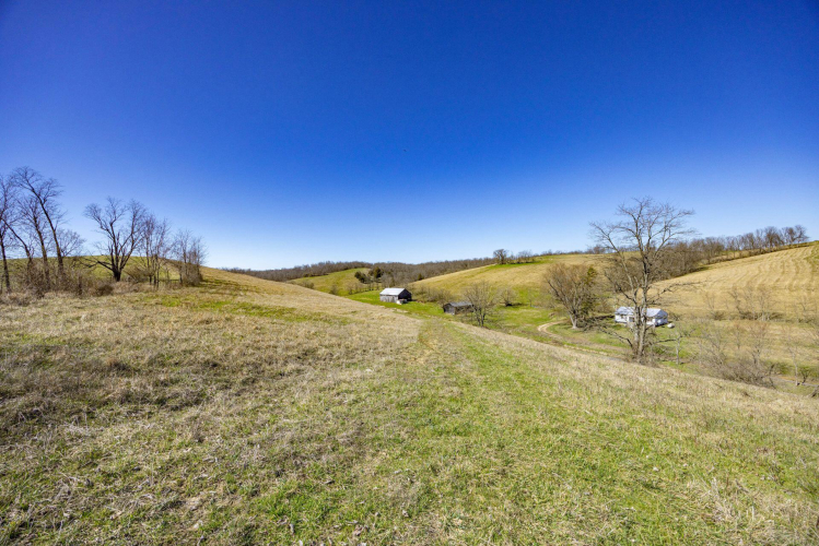 Listing Image 32