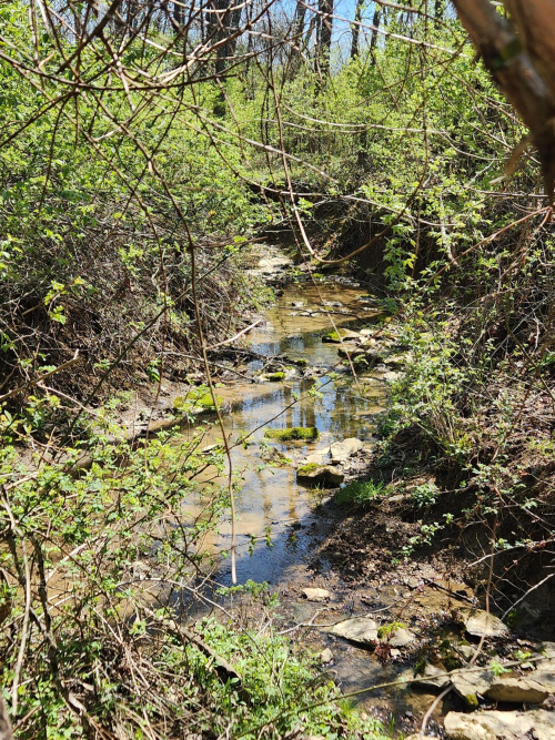 Listing Image 39