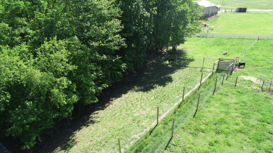 Listing Image 59