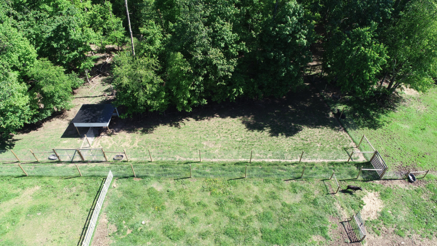 Listing Image 64