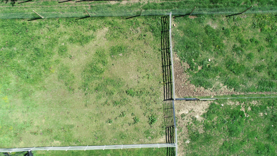 Listing Image 65