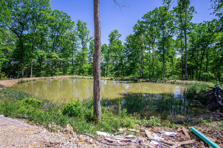 Listing Image 80