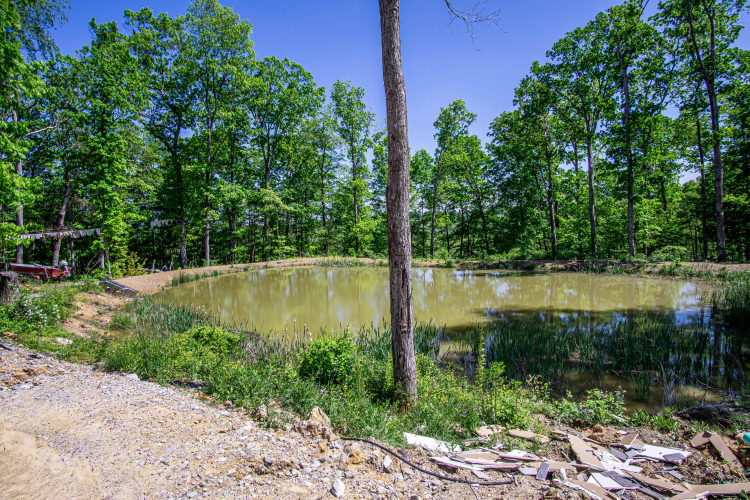 Listing Image 84