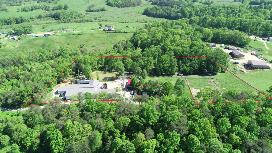 Listing Image 85