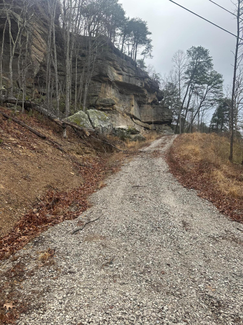 Listing Image 14