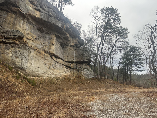 Listing Image 16